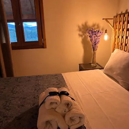 Casa Dos Figos Vistas Fantásticas * Curopos