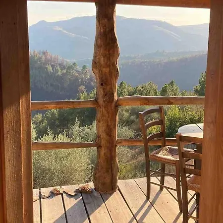 Casa Dos Figos Vistas Fantásticas Casa vacanze *